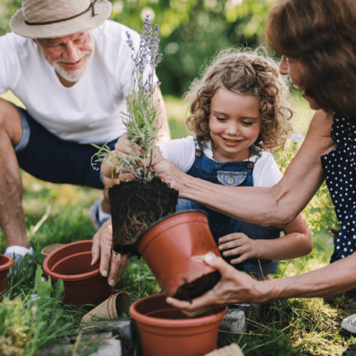 Family planting flowers